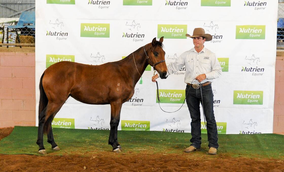Hazelwood Console sold for the price tag of $45,000 as yearling held by Joe Maher. 