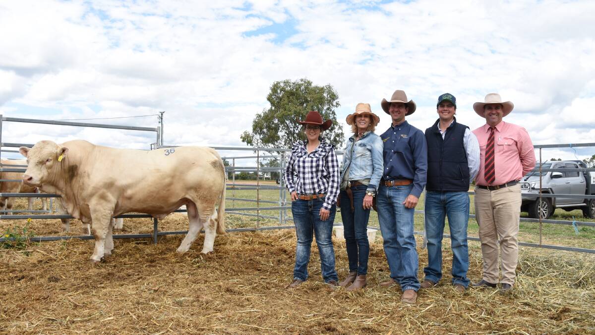 The $65,000 for 4 Ways MK Revolution with vendor Amy Whitechurch, buyers Kelly and Berry Shann, Suttor Grazing, Clermont, vendor Blake Whitechurch and Anthony Ball, Elders. Picture: Sheree Kershaw 