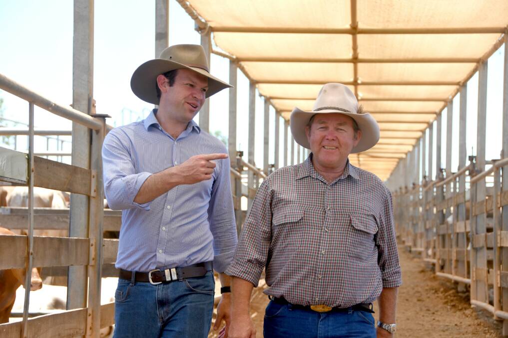 Federal Resources Minister Matt Canavan and State Member for Callide, Colin Boyce, made a visit to the Roma saleyards yesterday where the Premier was also making an announcement.  