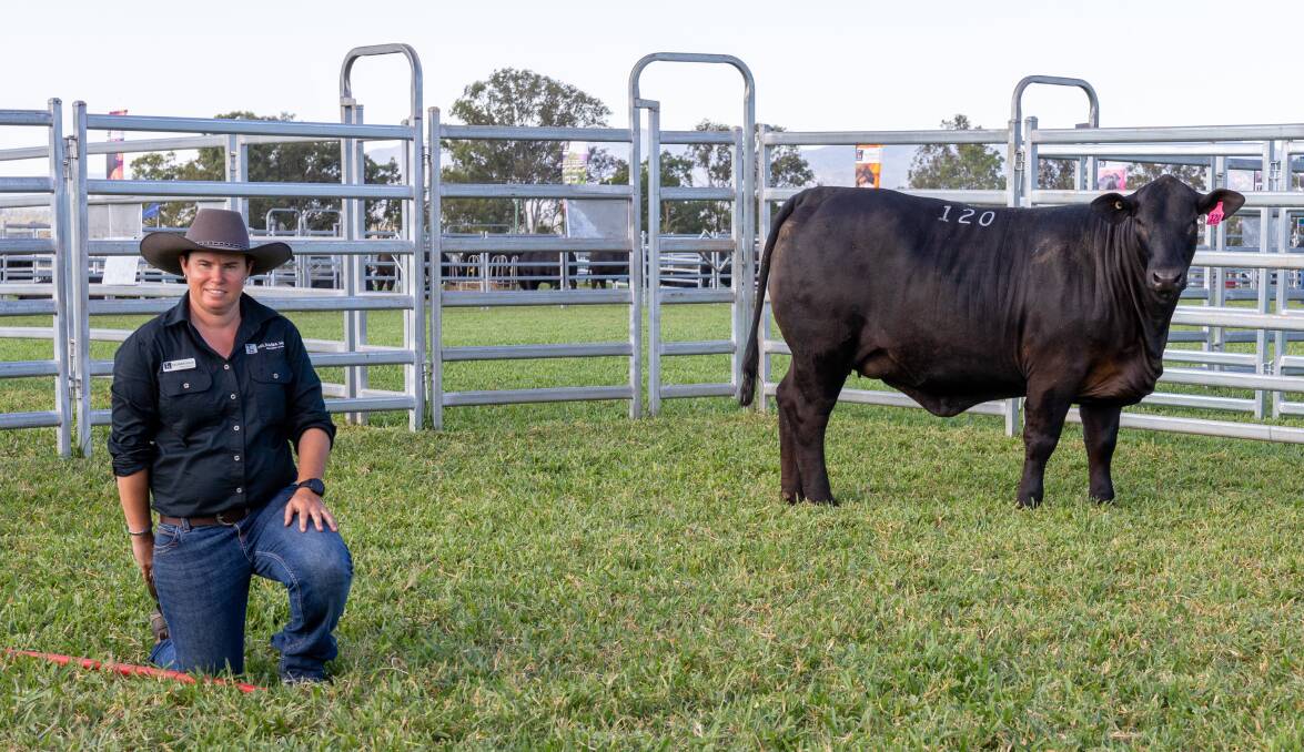 Fiona Pearce of Telpara Hills Brangus and Ultrablacks with heifer Miss Three D 392R15 of lot 120, which sold to a top of $44,000 to Quality Livestock in Port Adelaide, South Australia.