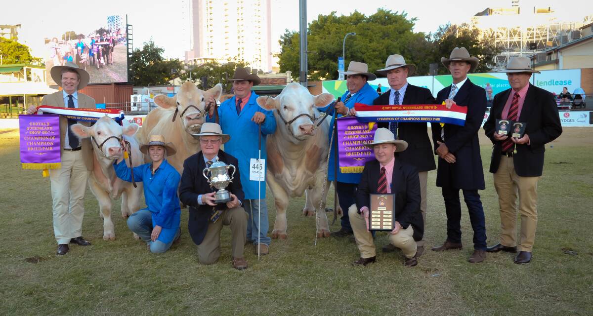 Champion of Champion pair, TCW Livestock Kristal and her calf Magic Mike and bull Colinta Levi, with Rod Duke, Santos, paraders Karly Crisp, Tyson Will and Stephen Hayward, Alan Warby, Elders representatives Andrew Meara and Blake Munro, Jon Warby, Santos, and judge Brett Nobbs. 