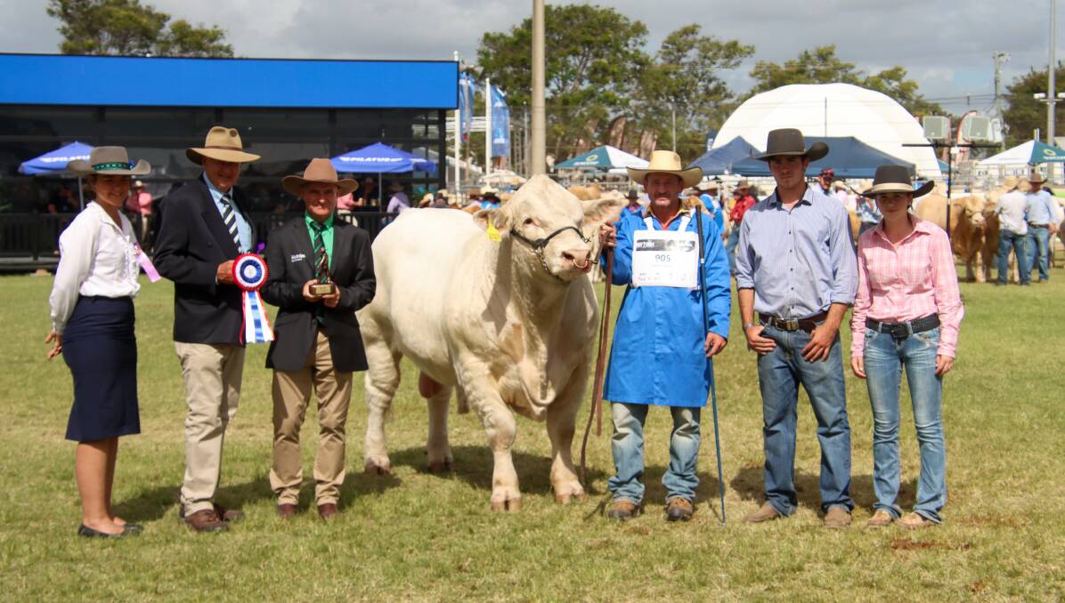 Grand champion male Moongool Tanner with associate judge Jaime Vosper, judge Peter Collins, Nutrien Studstock's Mark Scown, handler Lonnie Stone, Hunter and Tori Price from Moongool Charolais. Picture: Melanie Groves 