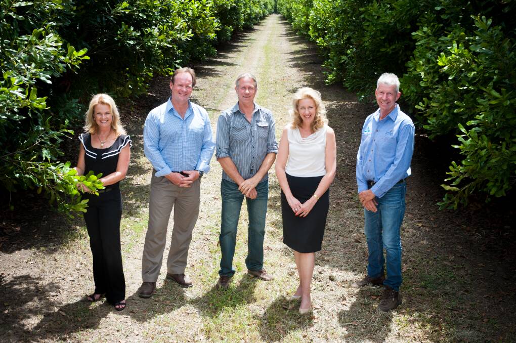 Macadamias Australia becomes one of country's leading growers | Queensland  Country Life | QLD
