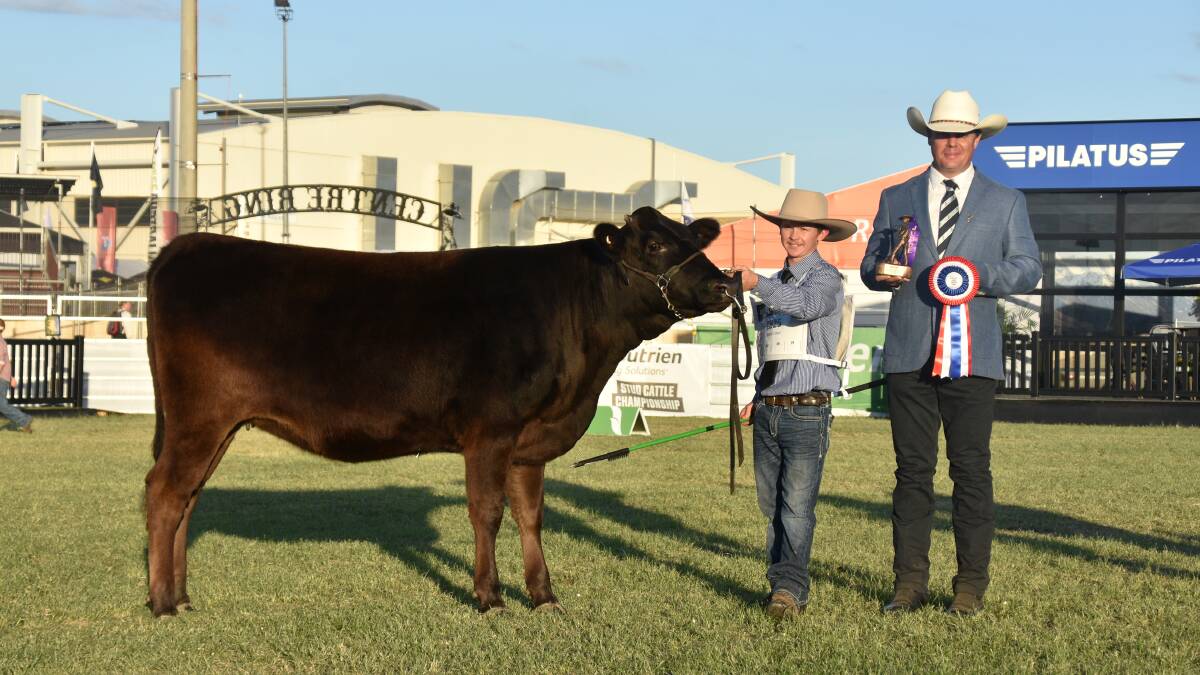 Handler Jacob Moore with judge PJ Budler and the champion Wagyu female. Picture: Ben Harden 