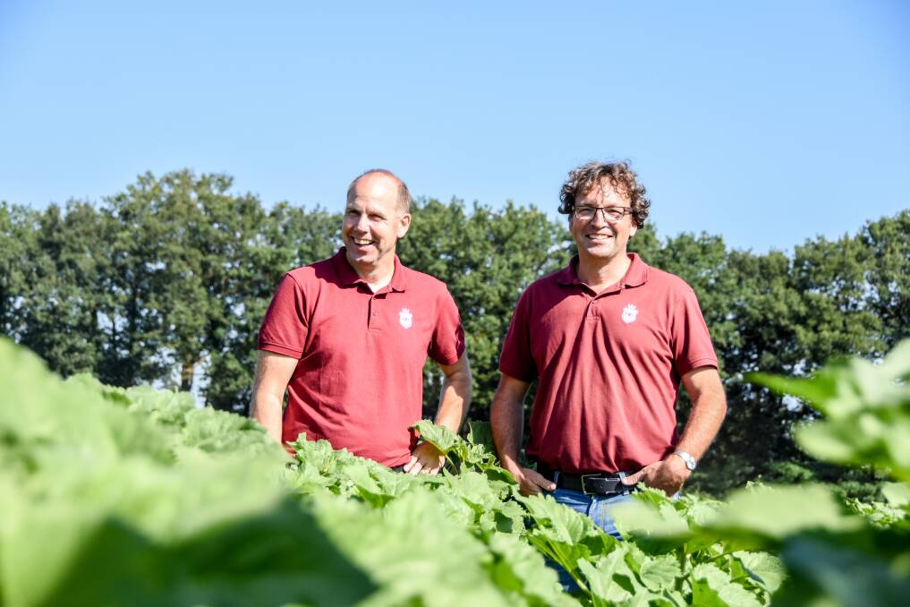Founders Boudewijn Tooren and Douwe Korting at Herenboren in Boxtel where city consumers invest in their own farm. 