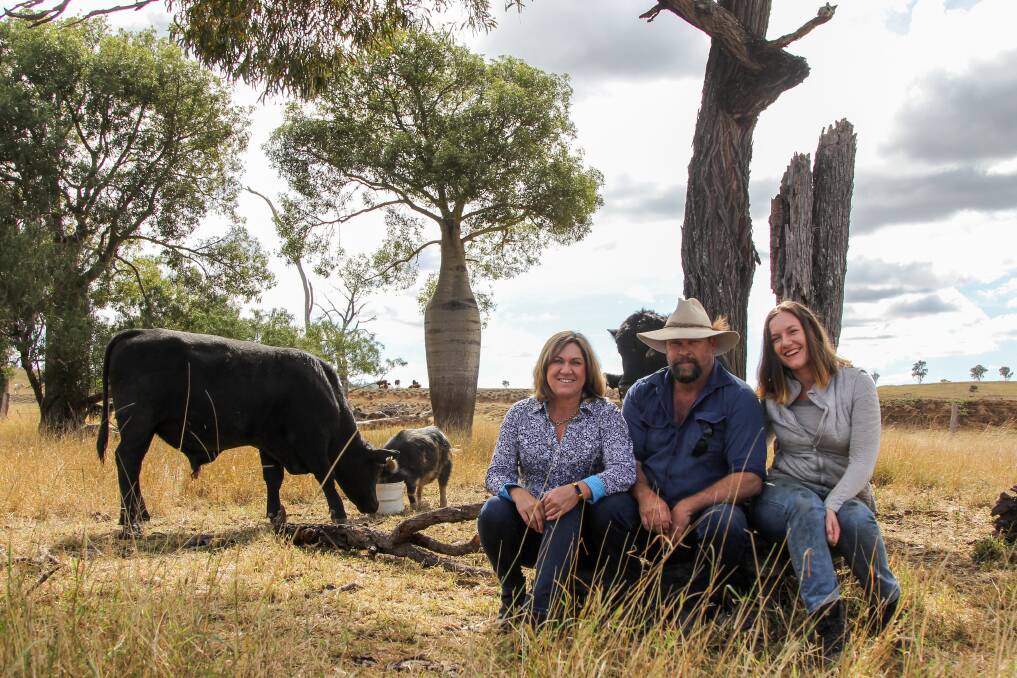 The Wain family and one of their bulls enjoying a snack.