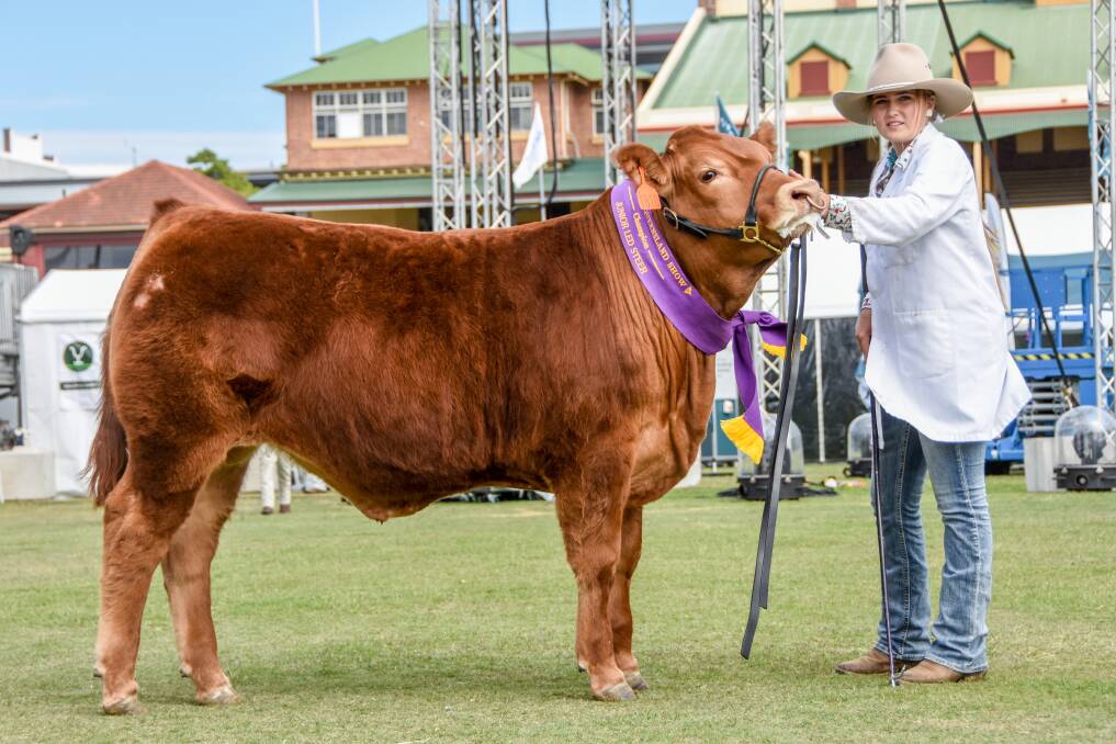 The champion junior led steer was exhibited by Brooke Parlane, Pine Mountain.