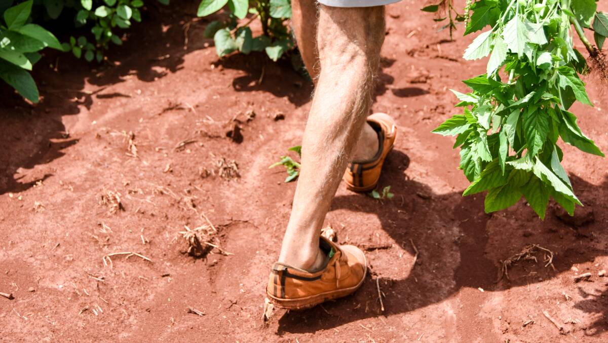 His signature red soil stained volleys. 