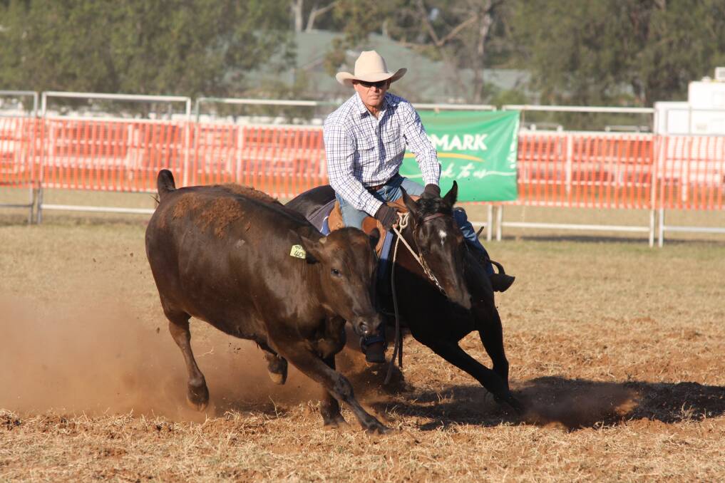Campdrafter and cattle donor Wally Rea competing in the final of the 2010 Chinchilla Grandfather Clock pictured on a Wagyu beast that he donated. Picture: Robyn Paine
