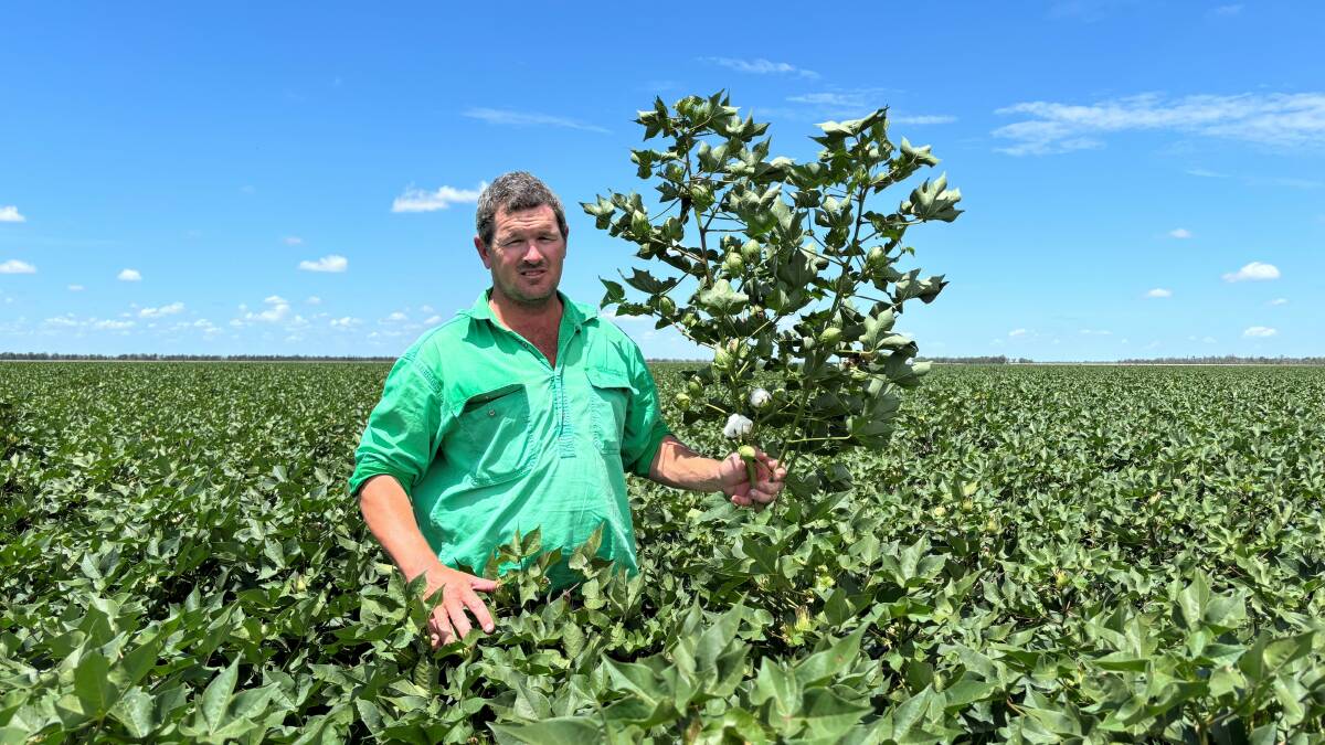 Ben Warby, from Warby Farming, said it had otherwise been an exceptional season for growing cotton. 