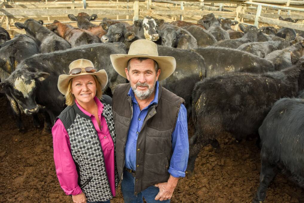 Dookie Bradley and Jim Ford, Edenhope, Roma, with their Angus steers. 