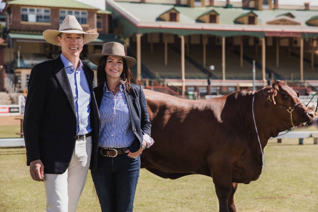 NIOA Pastorals Rob and Eliza Nioa at the Ekka with NIOA Lucy Q14 who was snapped up for $50,000. Picture: Supplied 