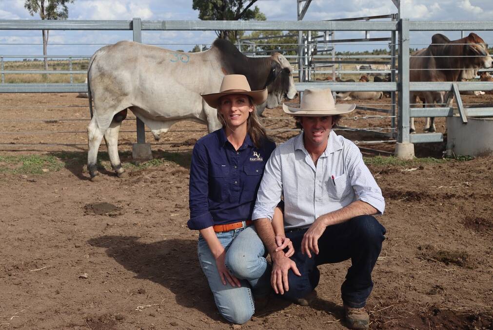 Victoria and Richard Moffatt, RV Pastoral, Muldoon, Marlborough secured lot 30 for $30,000. The bull was in the top five per cent for the Brahman breed for Jap Ox (71) and Live Ex (65) $ indexes.