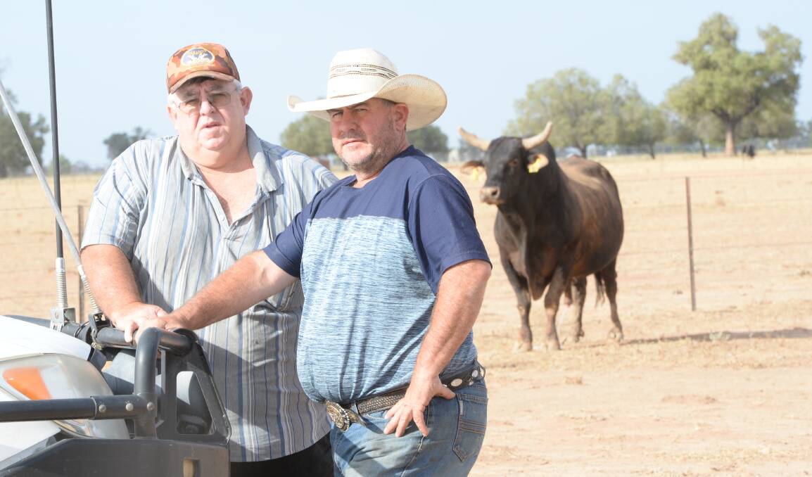 Peter and Tim Kennedy of Nakadoo Rodeo Company, Coonamble. 