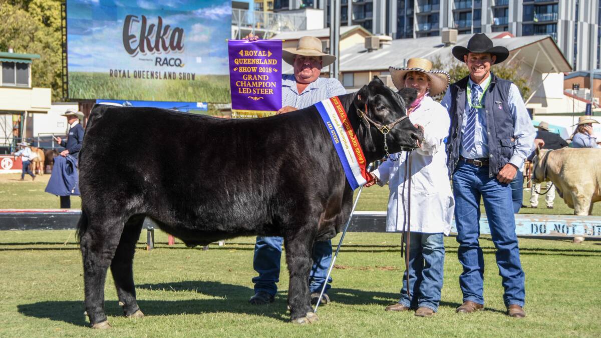 Limousin Angus steer named Ekka grand champion
