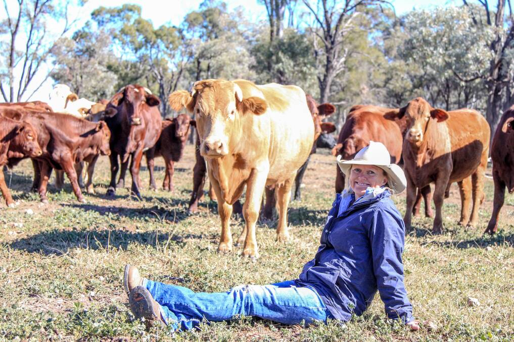CATTLE LOVER: Julie Mayne on her property, Coolamon, Dulacca where she has a Santa breeder herd and runs the operation on her own. Picture: Lucy Kinbacher 