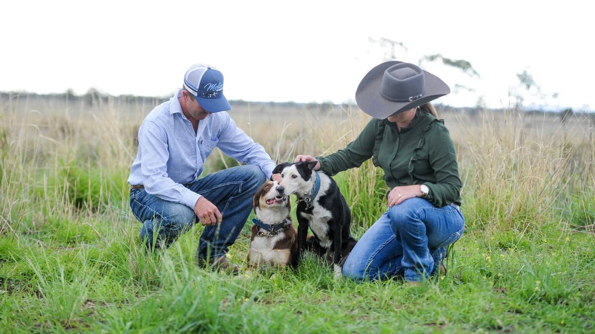 Meet the new breed of farmers with a passion to succeed