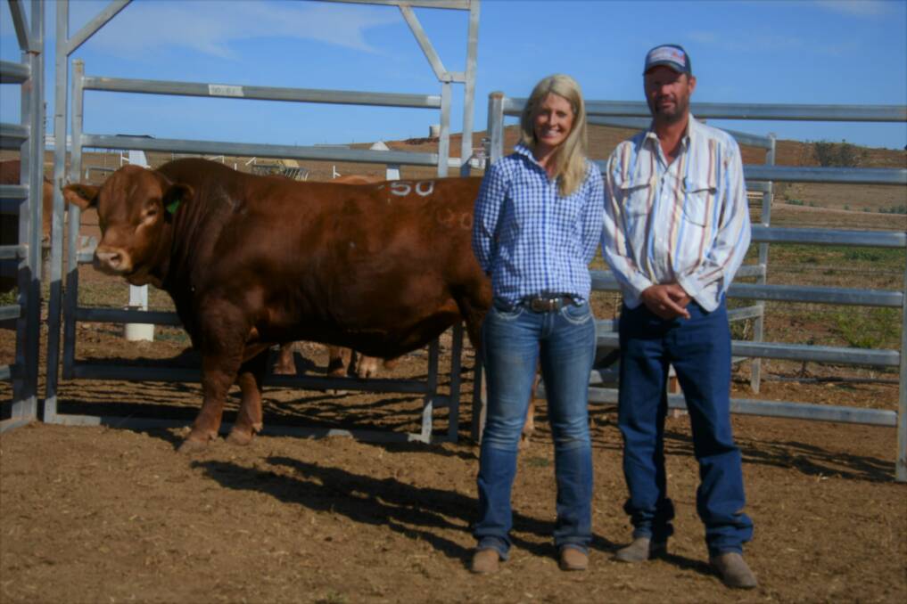 Sarah Truran, Savannah Simmentals, Myponga, SA who donated sale proceeds to the MS Society with buyer Grant Hood, Redcliff Pastoral, Blantyre Station, Praire who paid $15,000 for her Simmental bull, Savannah Q097 (P).