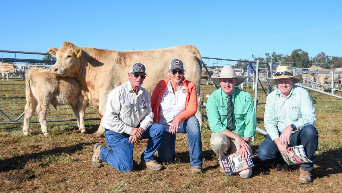 The $23,000 top price female with Chris Knox and Helen Alexander of DSK, Nutrien's Peter Godbolt and buyer Tony Farrell of Calmview Charolais, Fernleigh. 