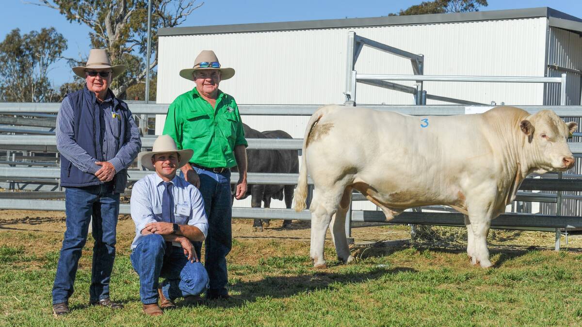 The $75,000 Palgrove Qracker with Jim Geaney from Geaney's at Charters Towers, Palgrove's Ben Noller and buyer Donald Burnett from Clermont. Three Palgrove Justice sons sold to average $45,666. 