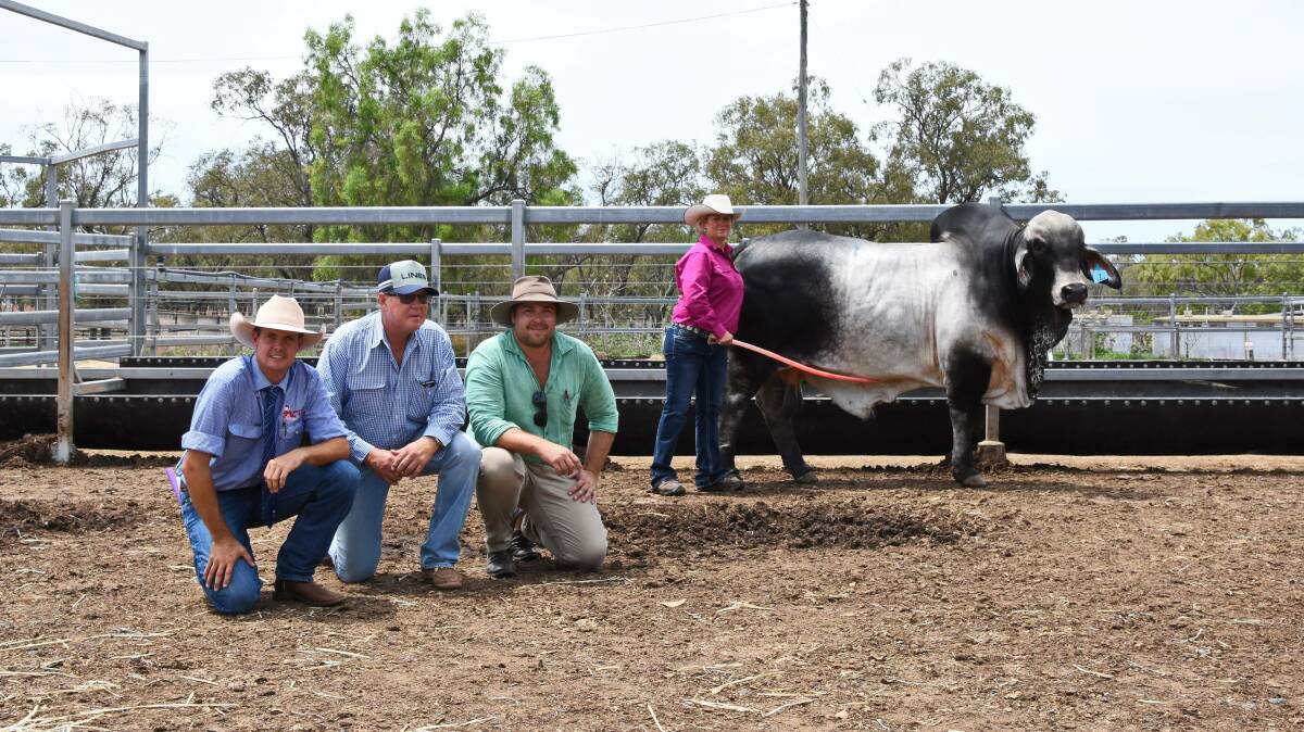 TOP SELLER: The $100,000 Elrose Exception 19519 (PS) with selling agent Brad Passfield, Hourn and Bishop Qld, buyers Brett and Stuart Kirk, Hazelton Brahmans, Middlemount, and vendor Brooke Jefferis, Elrose stud, Theodore. 