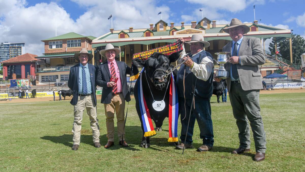 Grand champion bull, Irelands Ramco, with judge Ted Laurie, Knowla Livestock, Moppy, NSW, Elders agent Andrew Meara, owner Stephen Hayward and Angus Australia CEO Scott Wright. 
