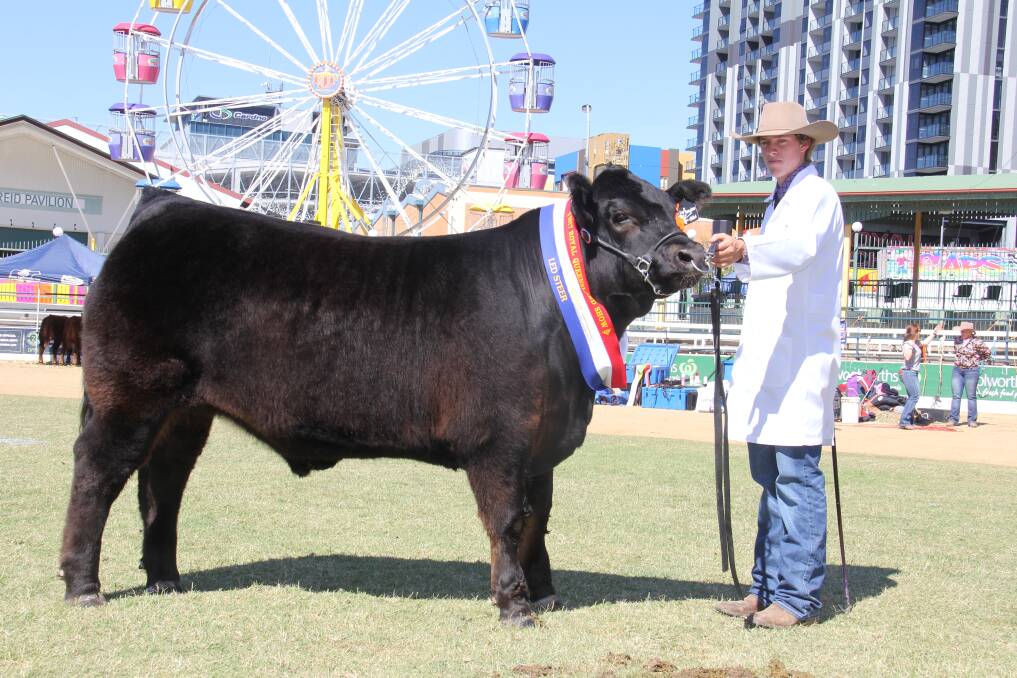 David Bartley, Warwick, with Voodoo Child who was named Grand Champion Led Steer at the Ekka. 