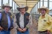 NT cattle travel 3000km for Roma store sale success