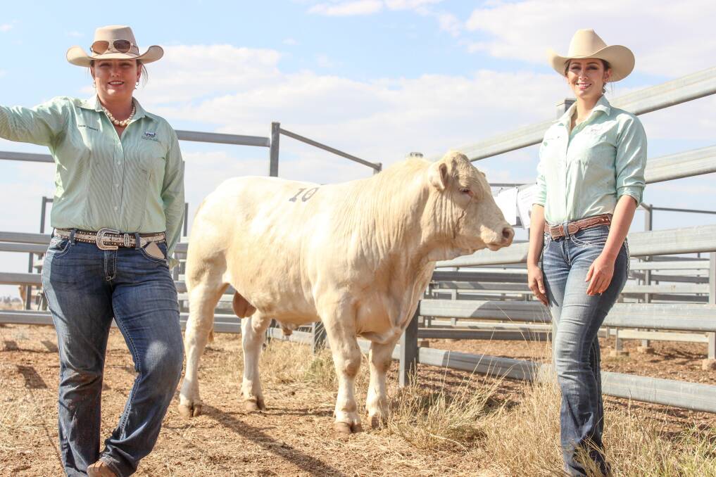Second top price bull was lot 10, Fairfield Lethal, purchased over the phone by Glenlea Charolais, Westbrook Station, Guyra, NSW. He is pictured with Jessie Chiconi and Alexandra Hindle. 