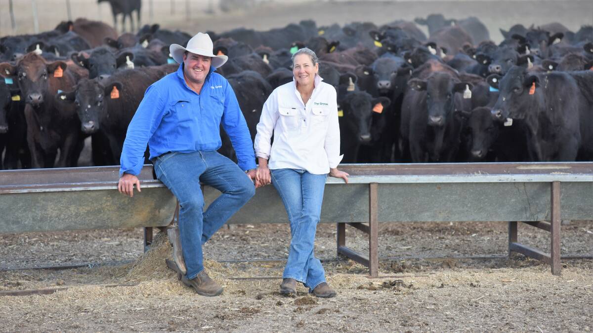 Spencer and Sophie Morgan, The Grove, Condamine, with some of the Shorthorn/Wagyu cattle. 