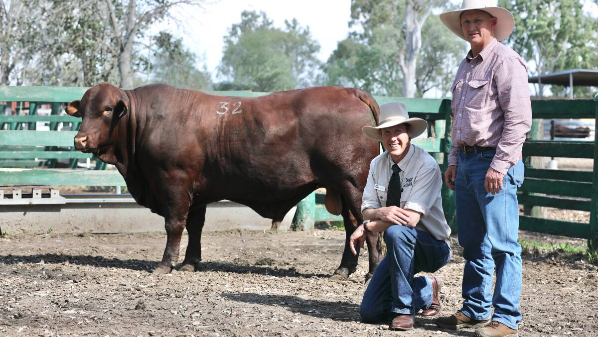 With the $85,000 Gyranda S202 are Peter Mahony and purchaser, David Greenup, Rosevale stud, Jandowae. Picture: Kent Ward 