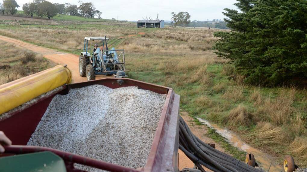 INPUTS UP: Urea and glyphosate prices were rising due to unexpected market events.