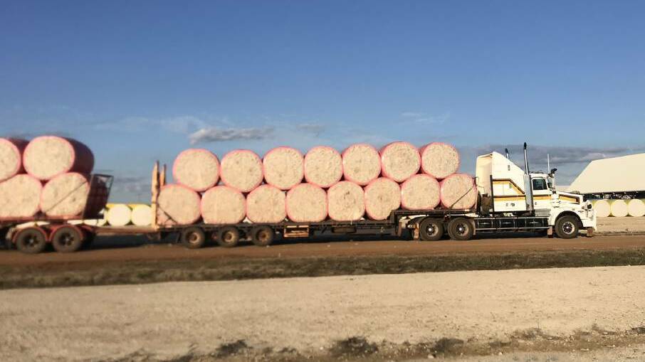 LONG HAUL: A road train loaded with cotton modules from Tipperary Station is ready to be unloaded at Dalby. Picture: Contributed.