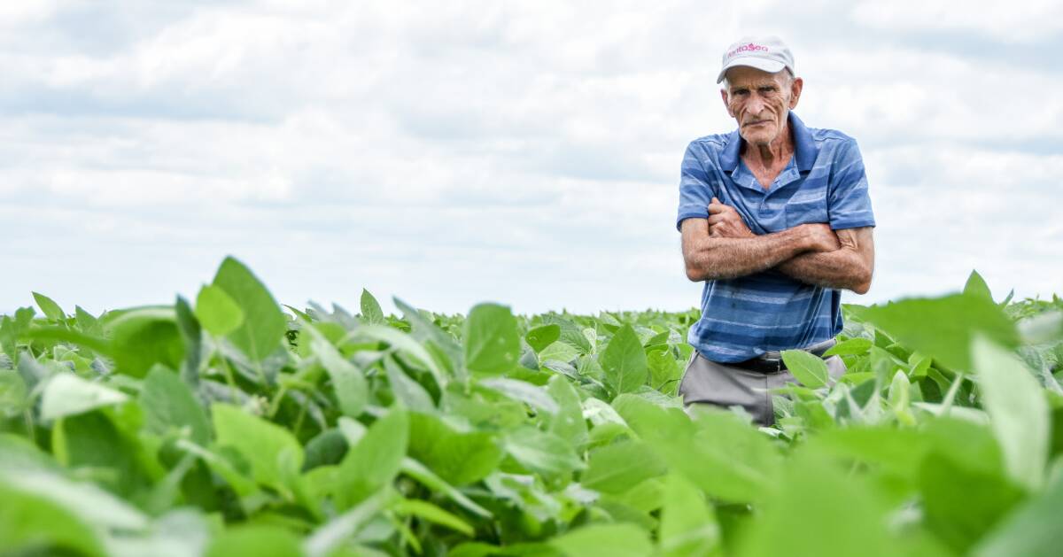John Larsen in his soybean crop outside of Kingaroy a few weeks ago which is in the firing line of a proposed coal mine. 