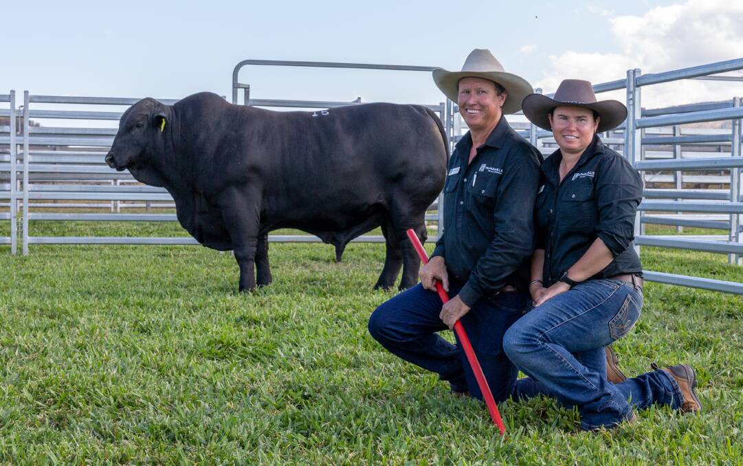 Stephen and Fiona Pearce of Telpara Hills Brangus and Ultrablacks with topped price Mach Five 920R4 of lot 15, which sold for a record breaking $150,000 to the Caldwell family of Milwillah Angus stud, NSW. Picture: Zoe Thomas