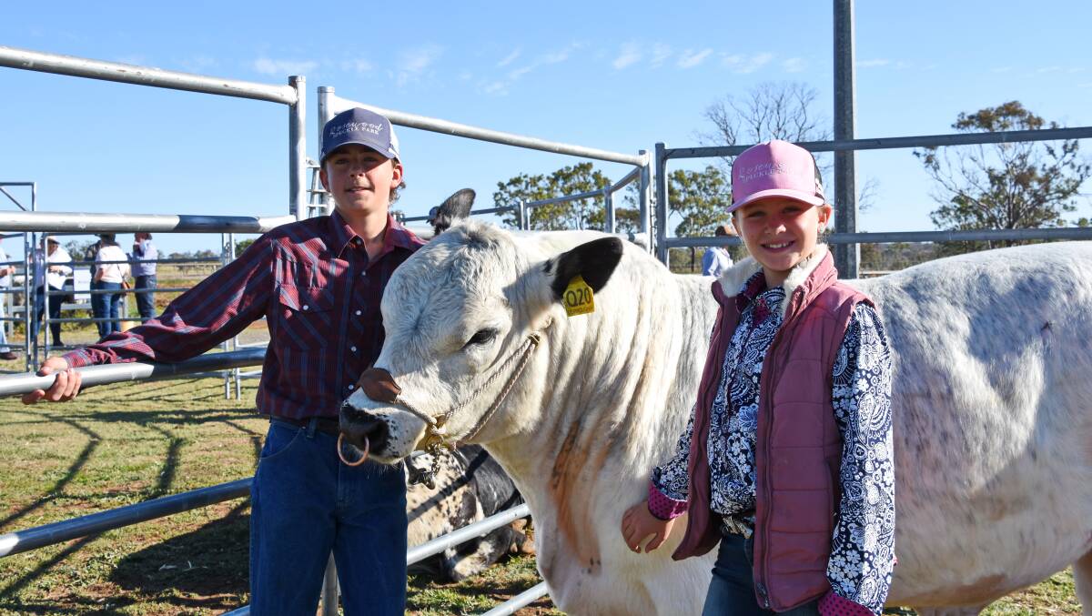 Jaxson and Heidi Dolinski, Rosewood Speckle Parks, Rockhampton, with Dorroughby Commander Q20, who sold to Spotted Ridge stud for $22,000. 