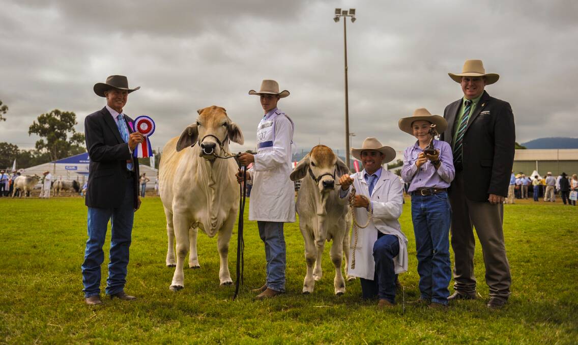Grand champion Brahman cow, Bardia Madeline and calf Cadet Bentley, with judge Rodger Jefferis, owners Darcy, Tony and Cameron Mortimer, and Landmark's Mark Scholes. Photo - Kelly Butterworth 