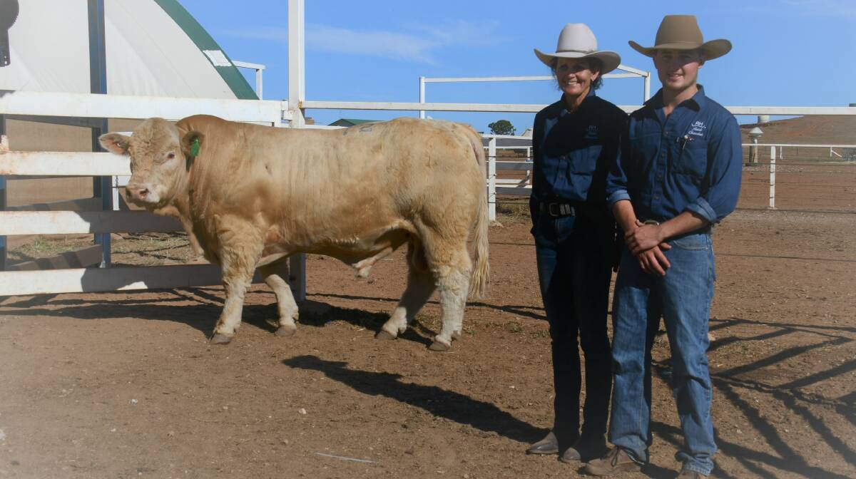 Helen and Benn Reid, Reids Charolais, Kingaroy with their $26,000 top selling Charolais bull, Reids Qantas Q54E, which was bought by John Finger, Lake Lofty Pty Ltd, Meadowbrook, Dysart.