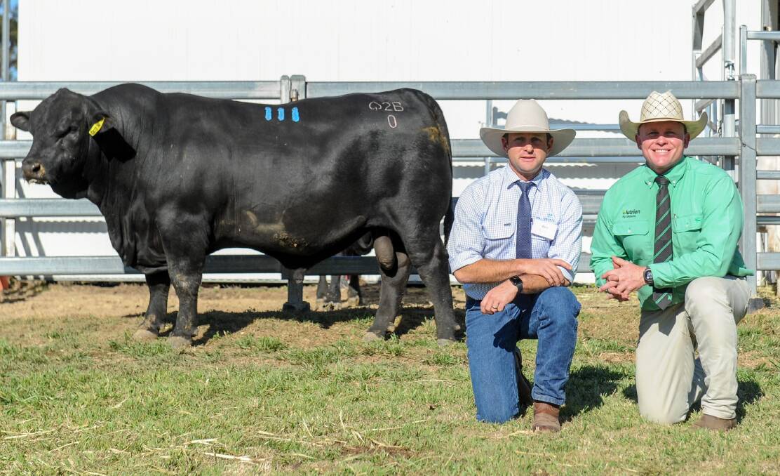 The $35,000 top price Ultrablack bull with Palgrove's Ben Noller and Colby Ede of Nutrien Studstock. 