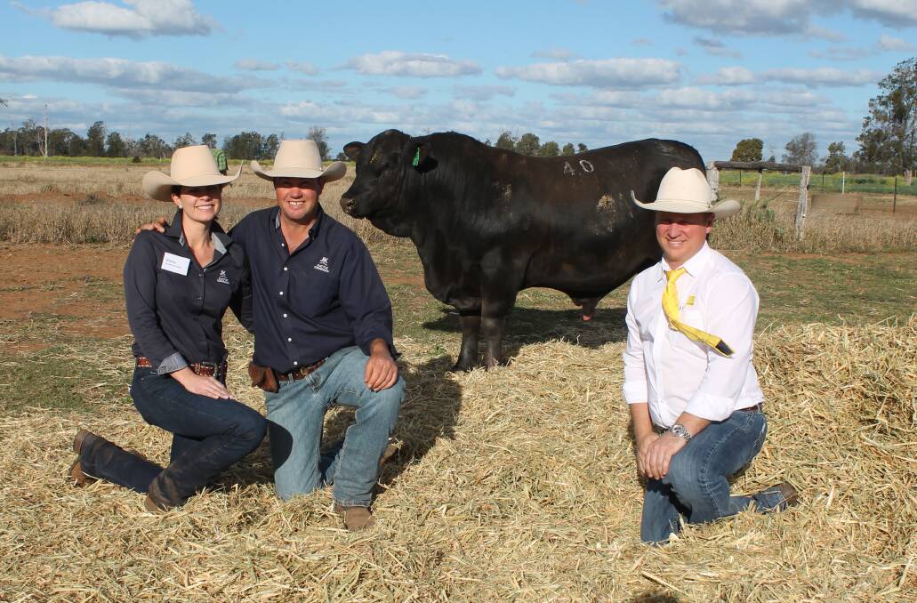Justin and Kate Boshammer of JK Cattle Company with their $34,000 top selling Brangus bull, JK Cattle Co Quintan Q567 and David Felsch, Ray White Rural, Dalby representing the buyers Rowan and Jess Douglas, Lagoona, St George.