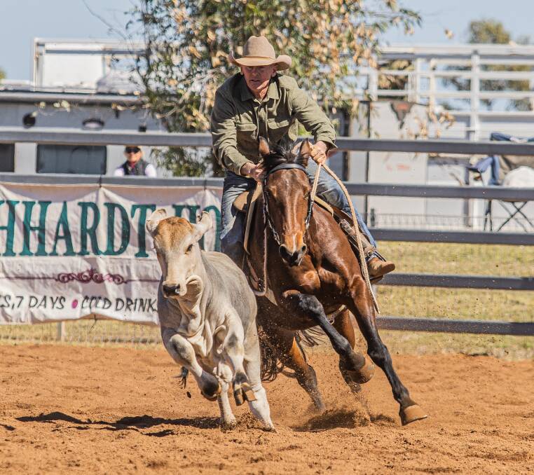 Action from the Curley Cattle Transport Cloncurry Stockman's Challenge and Campdraft. Picture: Ropes N Spurs Photography & Design