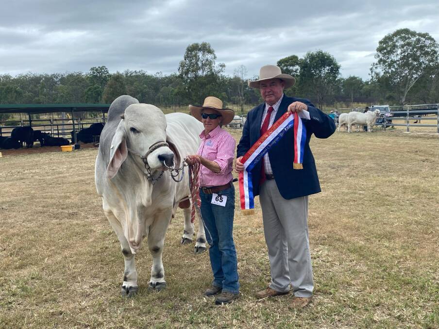 Grand champion bull at Eidsvold was Raglan Nathan exhibited by Raglan Brahmans. Picture: Supplied 