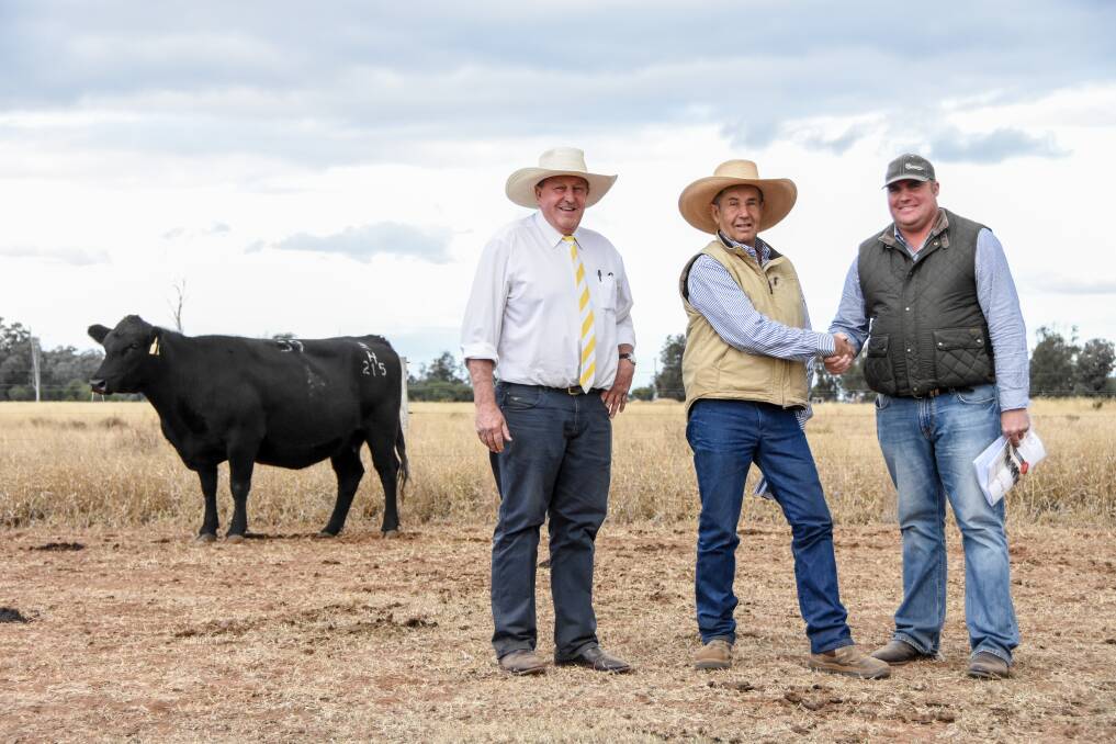 The $7000 top price female at the Gems of Glenoch sale today is pictured with Ray White Dalby Principal Roger Lyne, Sandon Glenoch Angus studmaster Roger Boshammer, and Ben Hill, Bulliac Angus, representing buyer Rogeric Pty Ltd. Pictures: Lucy Kinbacher