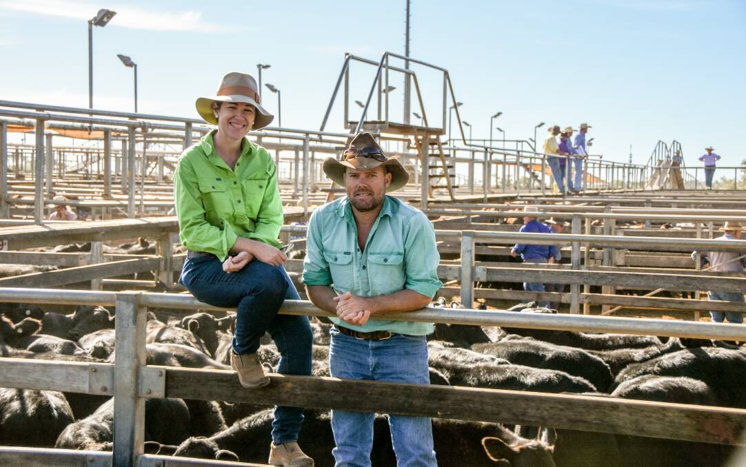 WHEN THE PRICE IS RIGHT: Brenda and Jeremy McMillan, Doonba, Teelba with their steers at the Roma store sale on Tuesday. 