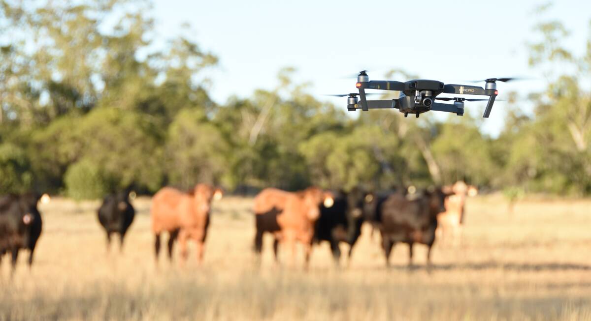 Drones are becoming a major part of agriculture, but do you know the rules and regulations?