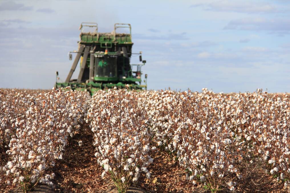 Former cotton grower Jeff Bidstrup will be a guest speaker at the Food Heroes event at Toobeah on July 13. Picture: Generic