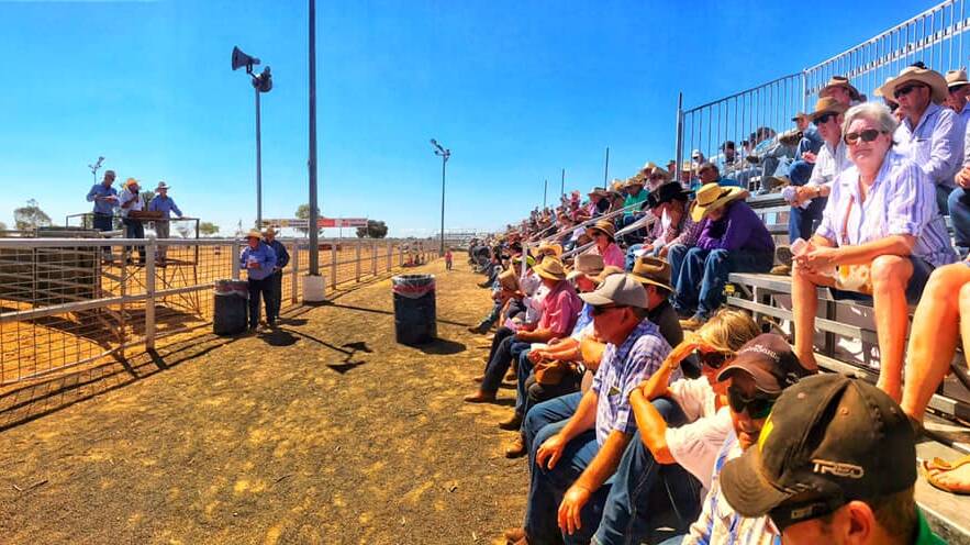 A strong crowd turned out for the dispersal sale. Picture: Nakadoo Rodeo Co Facebook