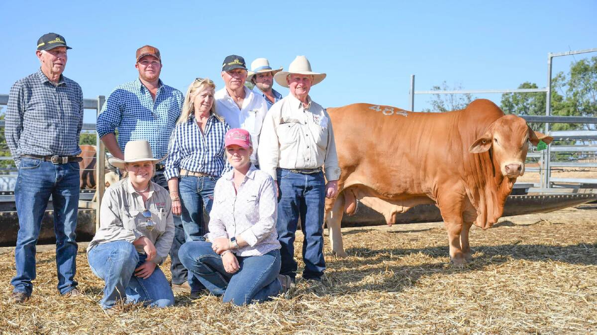 Rondel Black Tuxedo with buyers Kim Goad, Ben and Olivia Wright, Sue and Mike Thompson, Munda Reds, John Atkinson and Tayla Chapman, Cap Droughtmasters, and vendors Peter and Luke Carrington, Rondel Droughtmasters. Picture: Clare Adcock