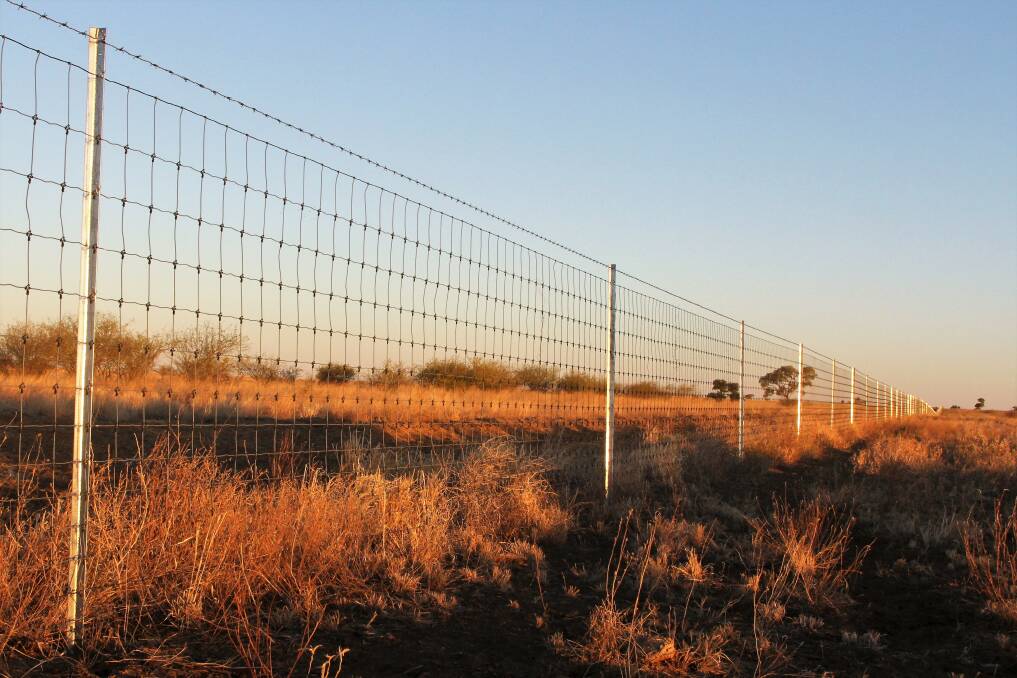 Maranoa Regional Council, in partnership with Balonne Shire Council, is calling for expressions of interest from groups of landholders to establish a Collaborative Area Management Group and construct an exclusion fence for the control of wild dogs.