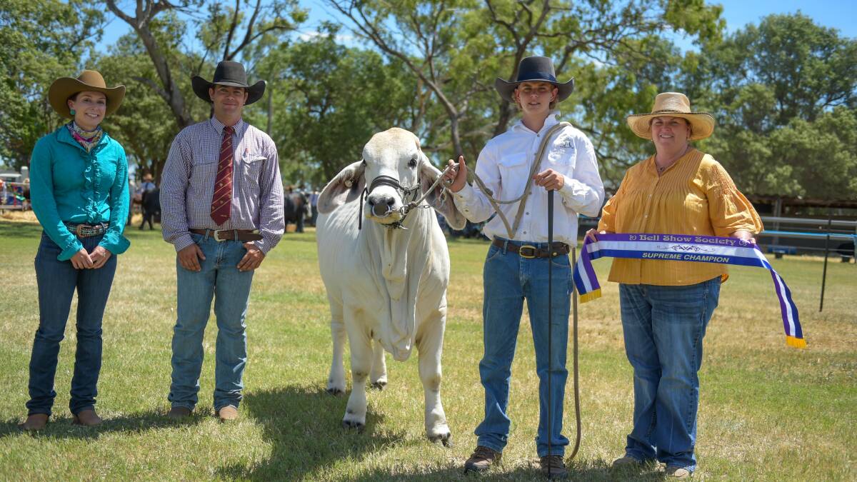 Judges Melanie Lindsay, Wandoan, and James Hayden, Tara with the supreme tropical female at Bell Show, NK Miss Elegance 2559, held by Isaac Day, JJ Fitting, and sashed by Robyn Whitaker, Mundubbera. 